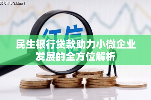 狮子山民生银行贷款助力小微企业发展的全方位解析