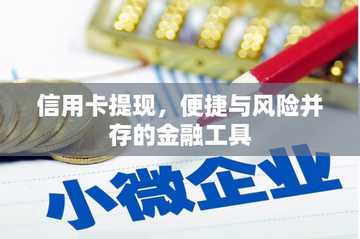狮子山信用卡提现，便捷与风险并存的金融工具