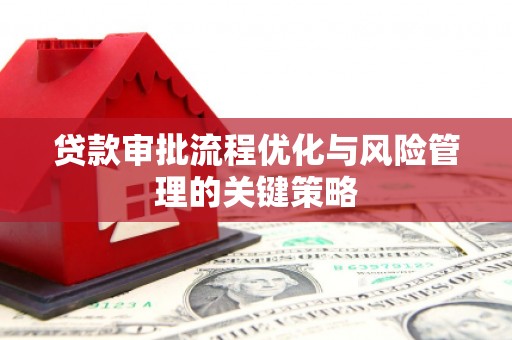 狮子山贷款审批流程优化与风险管理的关键策略