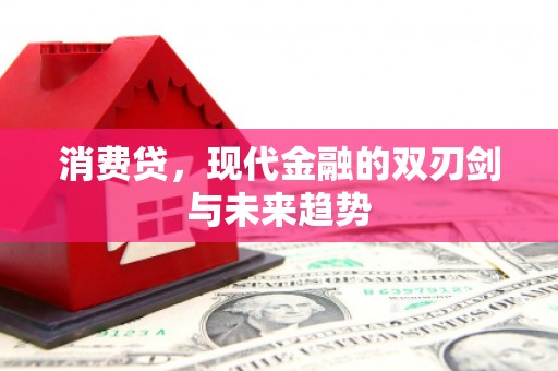狮子山消费贷，现代金融的双刃剑与未来趋势
