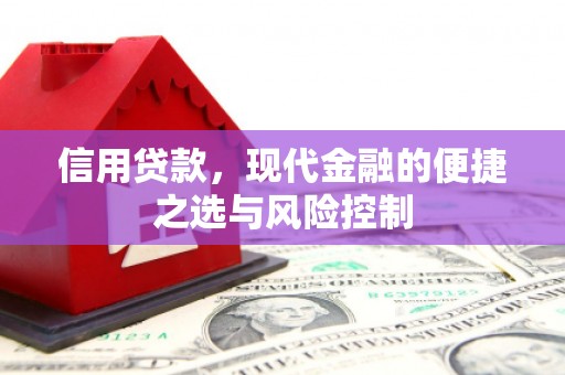 狮子山信用贷款，现代金融的便捷之选与风险控制