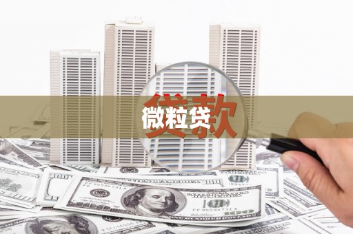 狮子山微粒贷