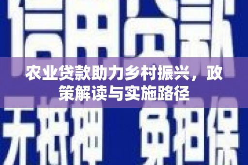 狮子山农业贷款助力乡村振兴，政策解读与实施路径