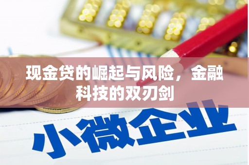 狮子山现金贷的崛起与风险，金融科技的双刃剑