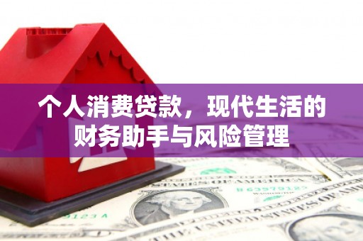 狮子山个人消费贷款，现代生活的财务助手与风险管理