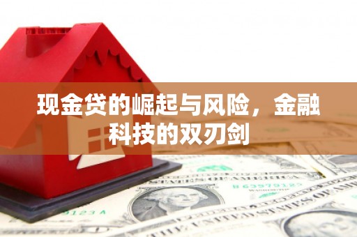 狮子山现金贷的崛起与风险，金融科技的双刃剑