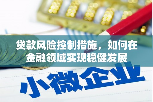 狮子山贷款风险控制措施，如何在金融领域实现稳健发展