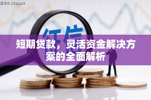 狮子山短期贷款，灵活资金解决方案的全面解析