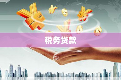 狮子山税务贷款