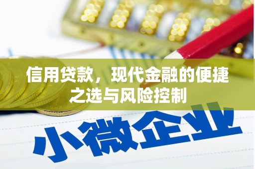 狮子山信用贷款，现代金融的便捷之选与风险控制