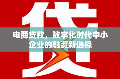 狮子山电商贷款，数字化时代中小企业的融资新选择