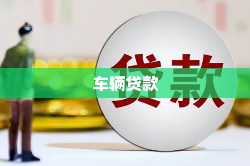 狮子山车辆贷款