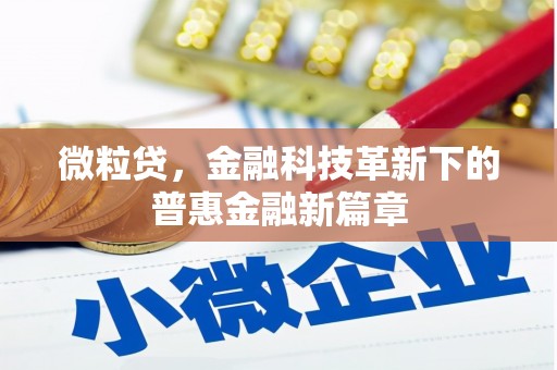 狮子山微粒贷，金融科技革新下的普惠金融新篇章