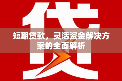 狮子山短期贷款，灵活资金解决方案的全面解析