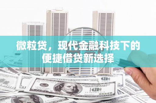 狮子山微粒贷，现代金融科技下的便捷借贷新选择