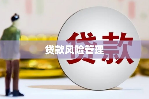 狮子山贷款风险管理