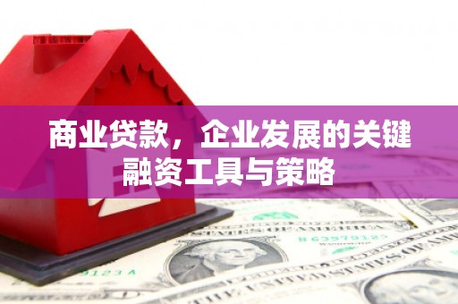 狮子山商业贷款，企业发展的关键融资工具与策略
