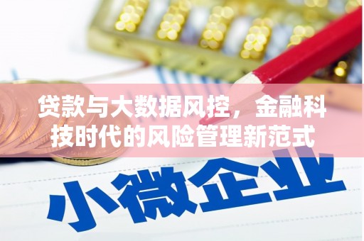 狮子山贷款与大数据风控，金融科技时代的风险管理新范式