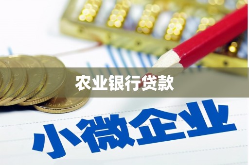 狮子山农业银行贷款