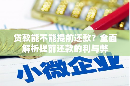 狮子山贷款能不能提前还款？全面解析提前还款的利与弊