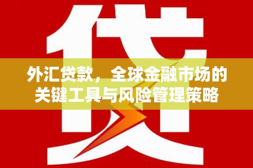 狮子山外汇贷款，全球金融市场的关键工具与风险管理策略