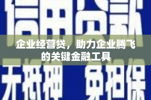 狮子山企业经营贷，助力企业腾飞的关键金融工具