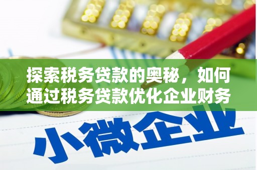 狮子山探索税务贷款的奥秘，如何通过税务贷款优化企业财务