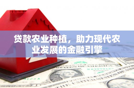 狮子山贷款农业种植，助力现代农业发展的金融引擎