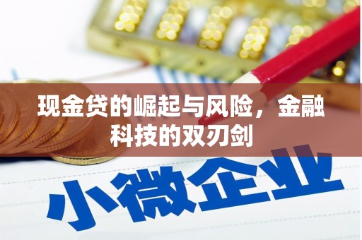 狮子山现金贷的崛起与风险，金融科技的双刃剑