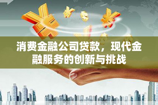 狮子山消费金融公司贷款，现代金融服务的创新与挑战