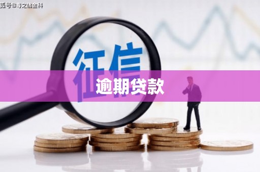 狮子山逾期贷款