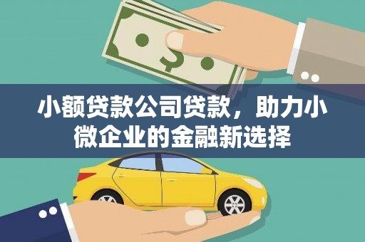 狮子山小额贷款公司贷款，助力小微企业的金融新选择