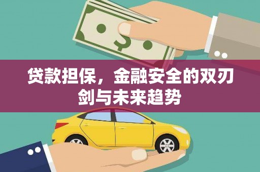 狮子山贷款担保，金融安全的双刃剑与未来趋势