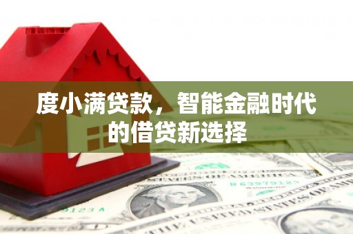 狮子山度小满贷款，智能金融时代的借贷新选择
