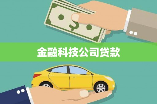 狮子山金融科技公司贷款