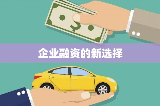 狮子山企业融资的新选择