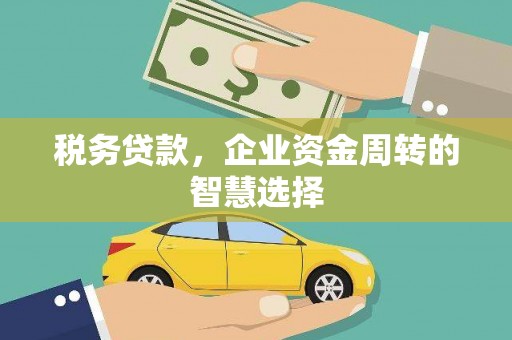 狮子山税务贷款，企业资金周转的智慧选择