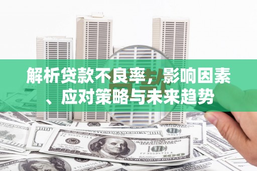 狮子山解析贷款不良率，影响因素、应对策略与未来趋势