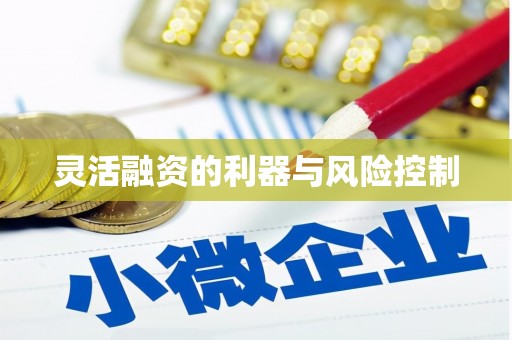 狮子山灵活融资的利器与风险控制