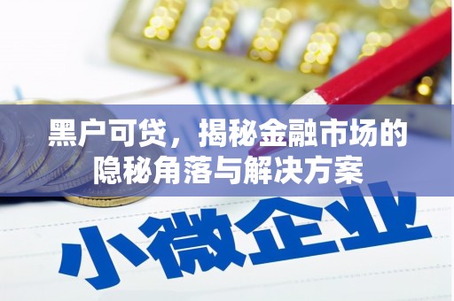 狮子山黑户可贷，揭秘金融市场的隐秘角落与解决方案