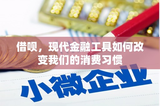 狮子山借呗，现代金融工具如何改变我们的消费习惯