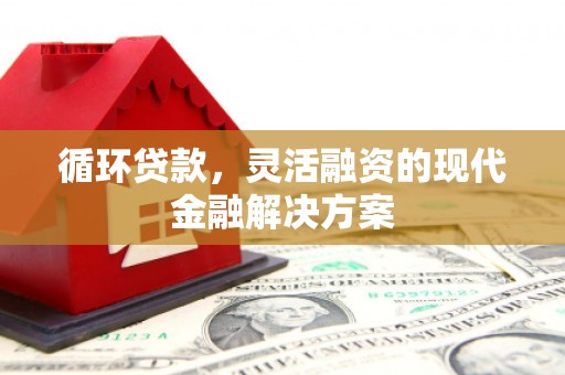 狮子山循环贷款，灵活融资的现代金融解决方案