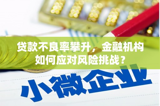 狮子山贷款不良率攀升，金融机构如何应对风险挑战？