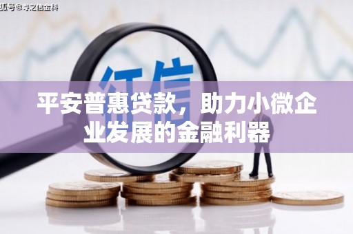 狮子山平安普惠贷款，助力小微企业发展的金融利器