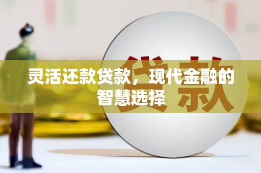 狮子山灵活还款贷款，现代金融的智慧选择