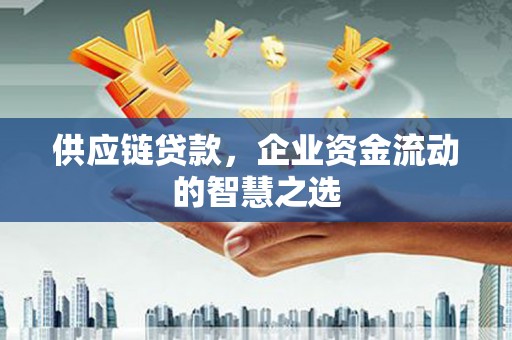 狮子山供应链贷款，企业资金流动的智慧之选