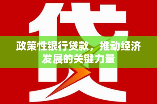 狮子山政策性银行贷款，推动经济发展的关键力量
