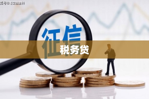 狮子山税务贷