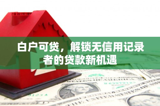 狮子山白户可贷，解锁无信用记录者的贷款新机遇
