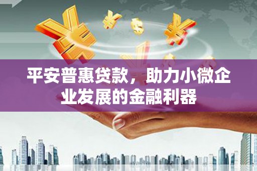 狮子山平安普惠贷款，助力小微企业发展的金融利器